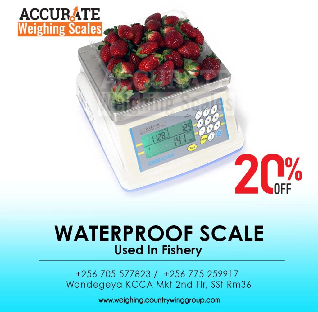 dirt proof weighing scale 