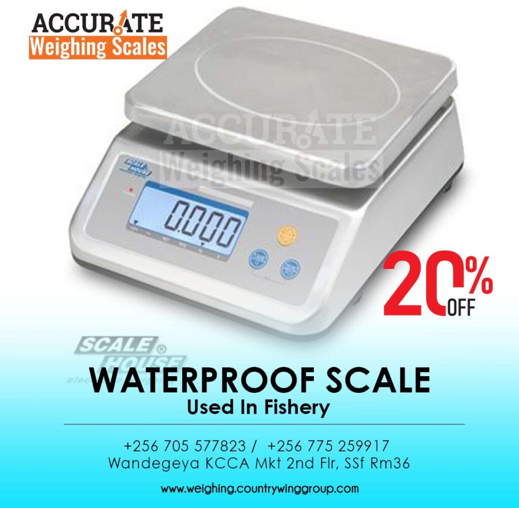 digital weighing scales