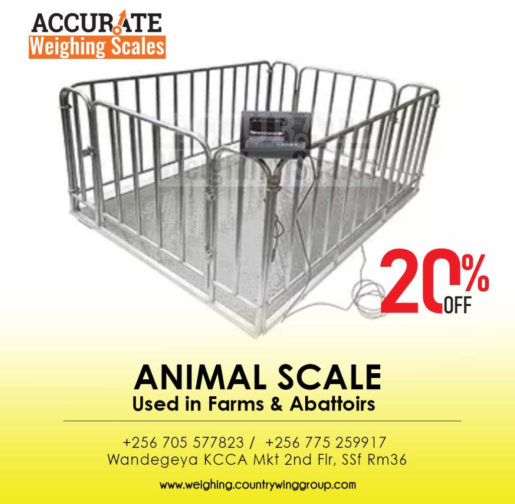livestock scale for pig, sheep,cow