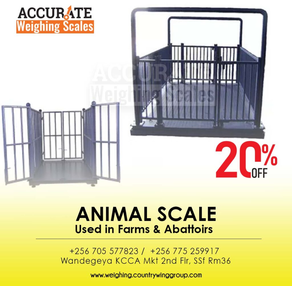 Animal Livestock Weighing Scale